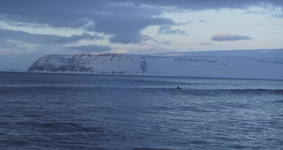 A lone surfer patiently waits in the calm, cold ocean with a vast, snow-covered mountain range in the distance