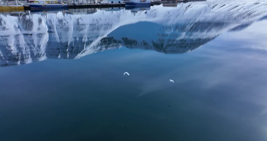 Seagulls fly in slow motion over a calm harbor, with majestic snow-covered mountains creating a perfect reflection in the water