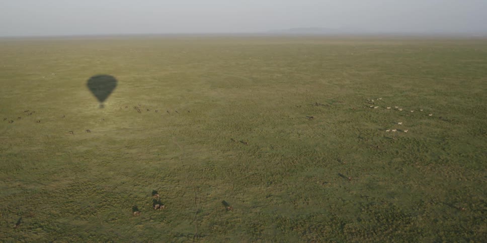 Shadow of a hot air balloon over a large field with animals below
