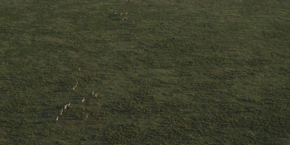 View of a large green field from above