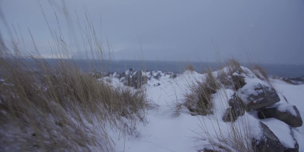 A slow, serene view of a snow-covered coastline where dry grass peeks through, with the vast ocean in the background during a gentle snowfall
