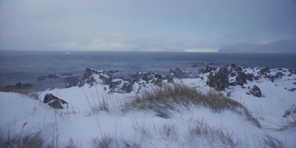 A slow dolly shot across a wind-swept, snowy coastline reveals a fierce blizzard over the cold, grey ocean