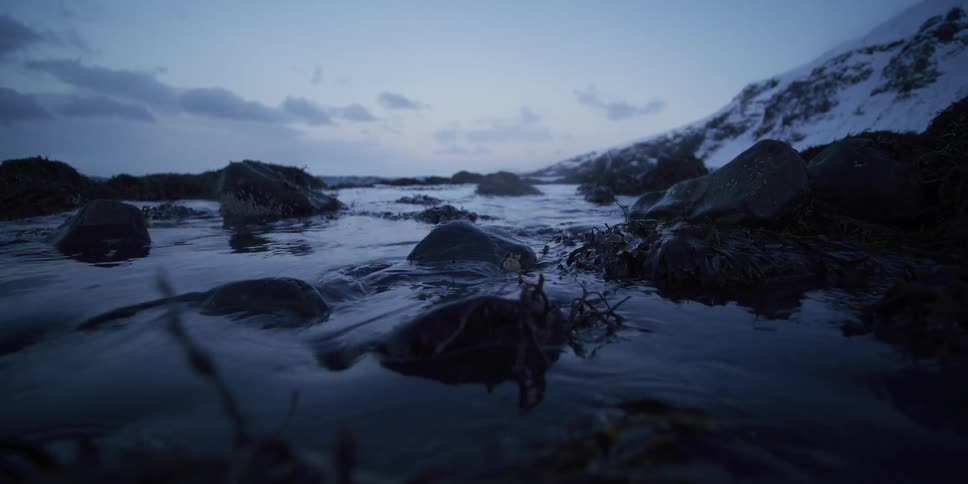 The tide gently washes over rocks and seaweed on a cold, snowy beach during the blue hour