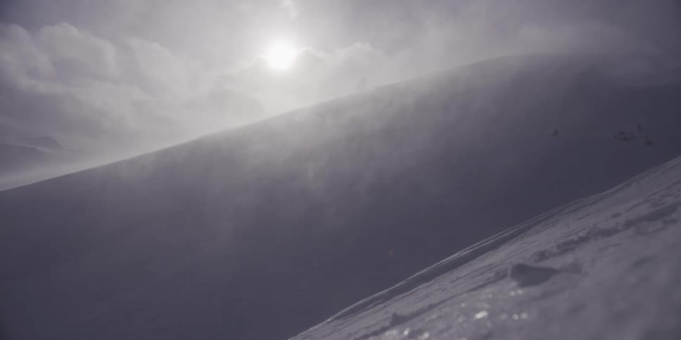 A lone wolf walks along a snowy mountain ridge during a blizzard as the sun shines through the blowing snow