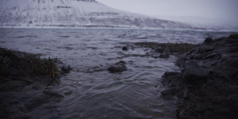A slow-motion, low-angle shot of gentle waves receding from a rocky, seaweed-covered shore in front of a vast, snowy mountain range