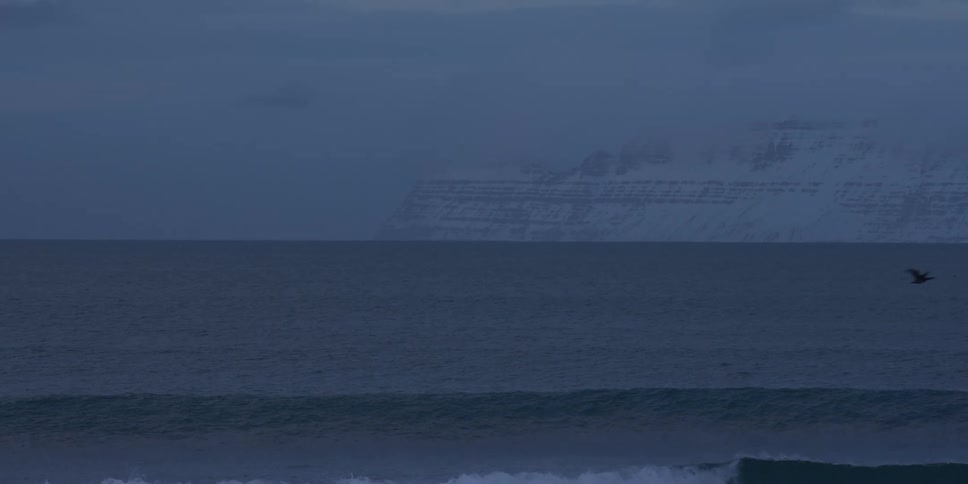 Slow-motion shot of seabirds flying over the dark ocean with a snowy mountain range in the distance at dusk