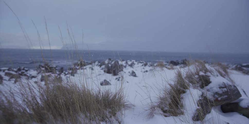 A slow dolly reveals a serene, snowy shoreline with tall grass as snow falls gently over the distant ocean