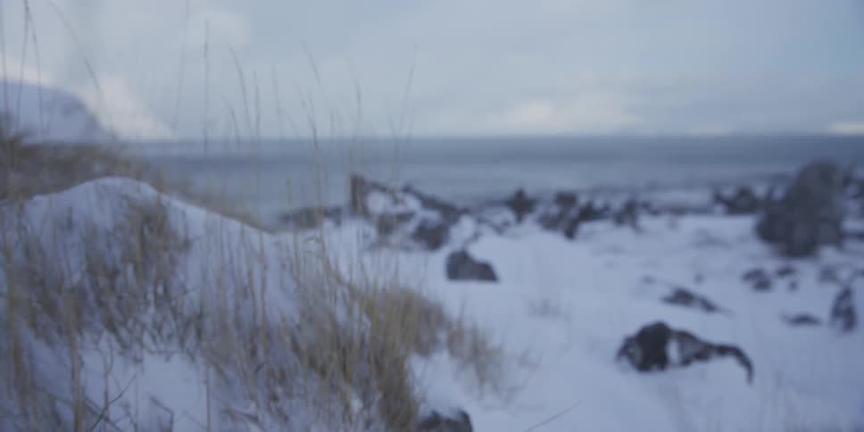 Dry grass pokes through the snow on a desolate, windy coastline as snow gently falls in slow motion
