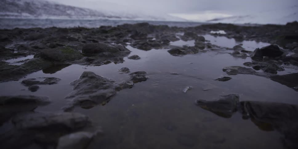 A slow, low-angle tracking shot over a frozen, rocky shoreline with still tide pools reflecting the overcast winter sky