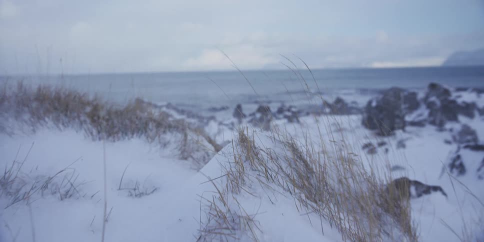 A cinematic slow-motion dolly shot of snow blowing across a frozen, grassy coastline on a cold winter day