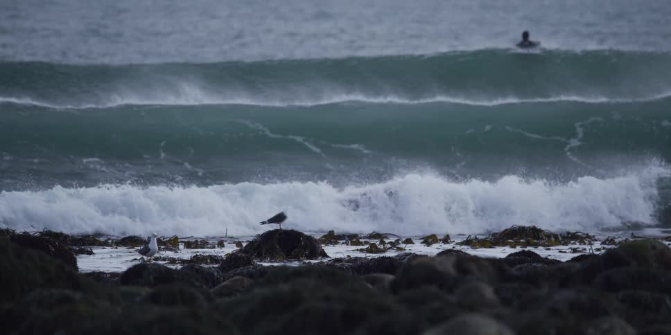 Seagulls on a rocky shore observe a surfer riding a powerful, breaking ocean wave in dramatic slow motion