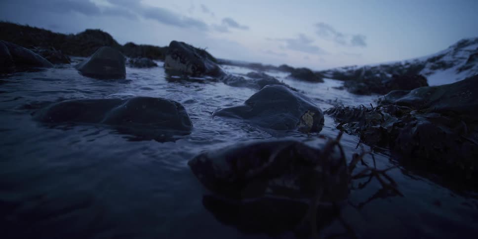 Calm water trickles over smooth stones and seaweed on a snowy coastline at dusk