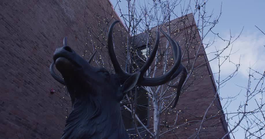 A low-angle shot captures a bronze elk statue against a brick building and a dusky sky, with festive lights in a nearby tree