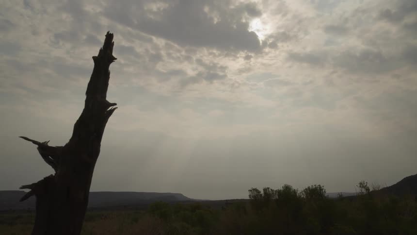 Sun rays break through a cloudy sky over a vast landscape with a silhouetted dead tree trunk in the foreground