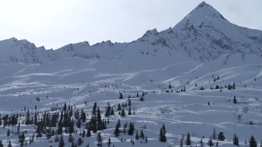 A stunning aerial view pulls back over a vast, snow-covered landscape with rolling hills, pine trees, and a majestic mountain peak