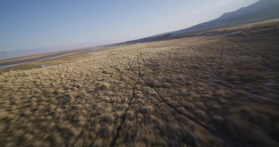 A thrilling FPV drone dive descends to fly at high speed low over a vast, dry grassy wetland