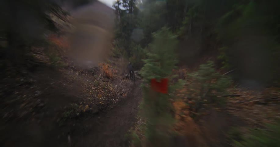 An adventurous mountain biker speeds down a steep and winding dirt trail through a dark and moody forest