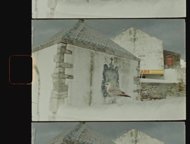 Vintage 8mm film shows a seagull landing on a wall with azulejo tiles in Nazaré, Portugal, and then taking flight