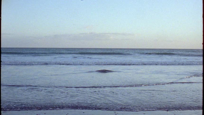 Vintage film footage captures calm ocean waves gently washing up on a sandy shore