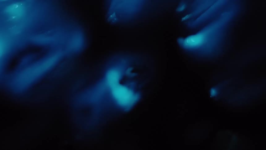 Ethereal blue bokeh lights shimmer and float dreamily in the darkness