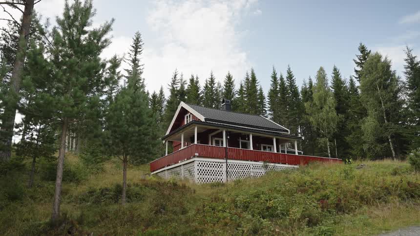 A classic red wooden cabin sits peacefully on a grassy hillside surrounded by a dense evergreen forest