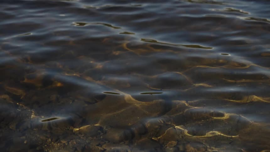 Calm, clear water ripples over a rocky lakebed with sunlight creating beautiful light reflections