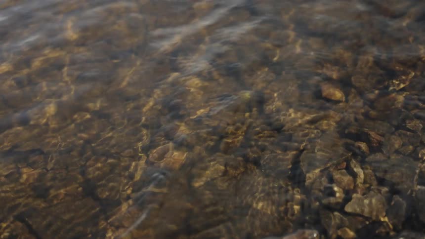 Close-up of calm, clear water rippling over a rocky riverbed, creating a serene natural background