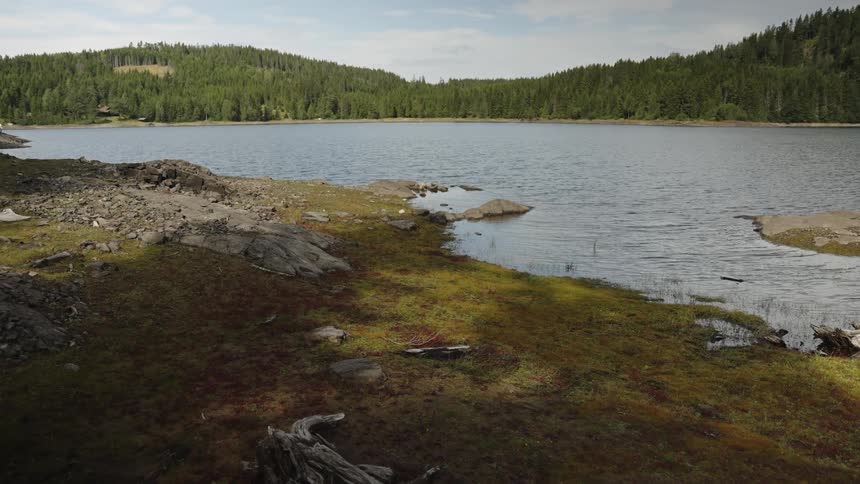 A serene mountain lake with a mossy, rocky shoreline surrounded by a dense evergreen forest