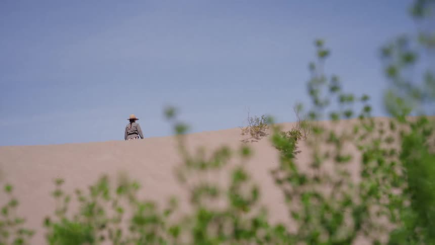 A woman wearing a sun hat walks over the crest of a large sand dune, viewed from behind green foliage
