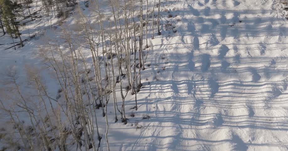 Slow aerial dolly over a snow-covered mogul field as bare aspen trees cast long shadows in the winter sun
