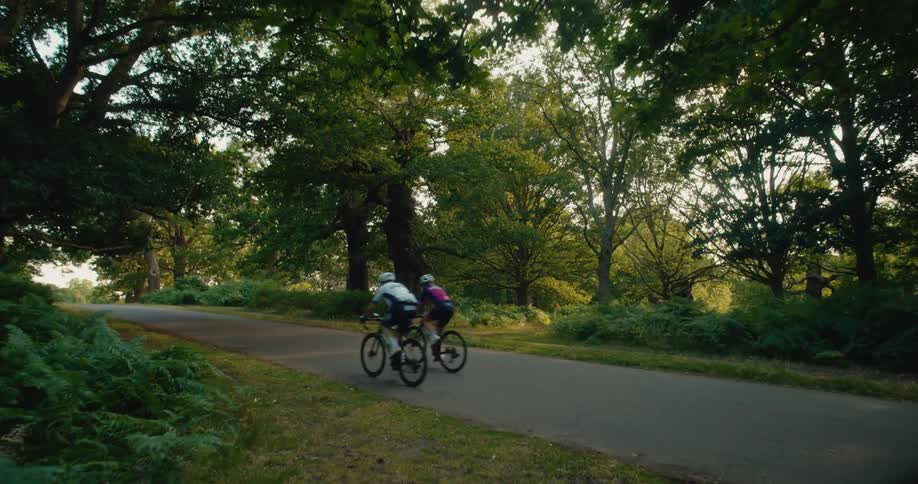 Two cyclists in slow motion ride their bikes along a picturesque road surrounded by lush green trees and ferns