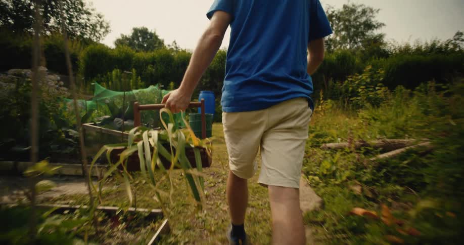 A man walks through his lush garden in slow motion, carrying a wooden trug filled with freshly harvested leeks
