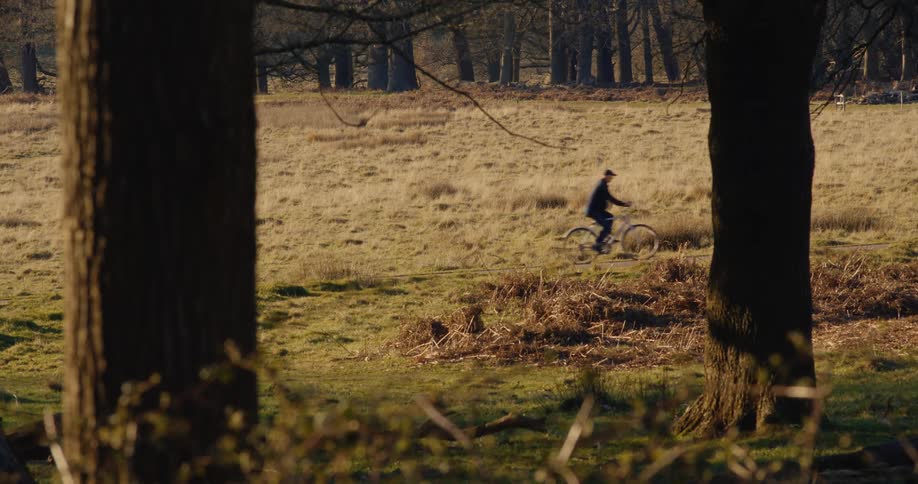 A variety of cyclists pass through a scenic, sun-drenched parkland path framed by trees