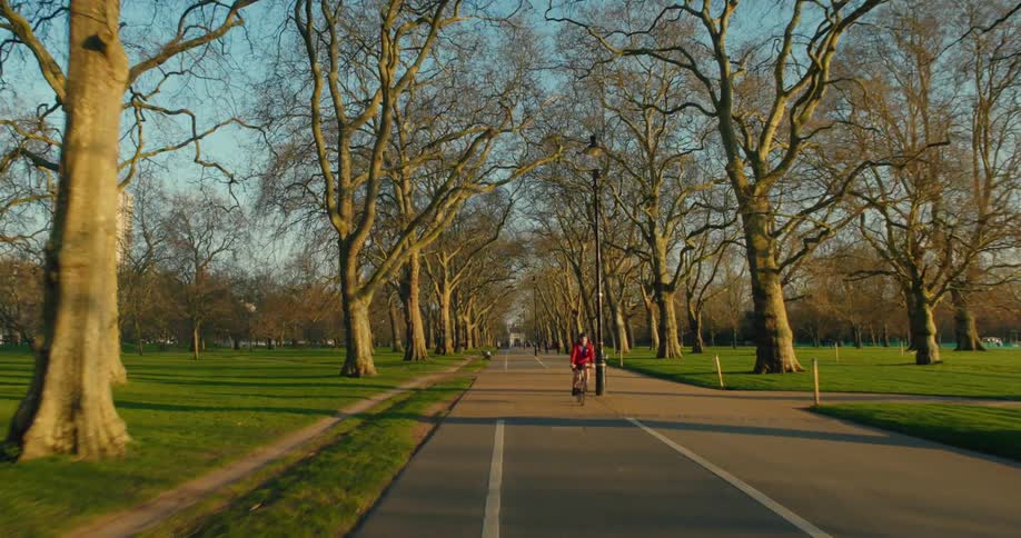 A serene point-of-view shot gliding along a wide, tree-lined avenue in a city park as people jog and cycle in the warm sunlight