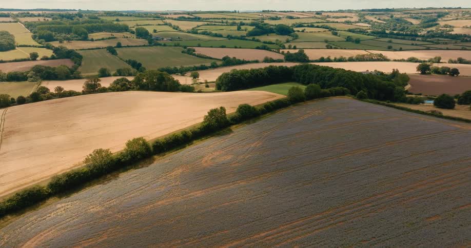 A serene aerial time-lapse captures cloud shadows gliding over a patchwork of vibrant purple flax and golden wheat fields in the rolling countryside