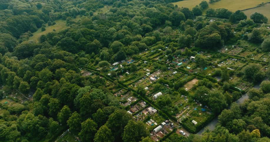 An aerial view slowly pulls back over a sprawling complex of community garden allotments surrounded by a dense, verdant forest