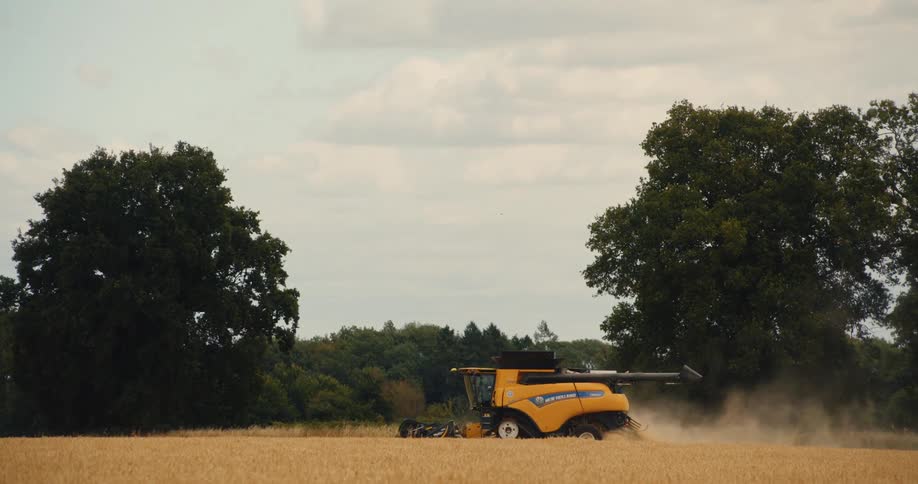 A large yellow combine harvester moves through a golden wheat field, kicking up dust as it harvests the crop