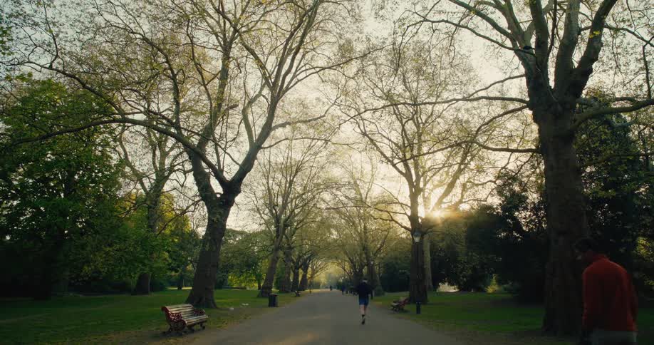 A man jogs and another walks his dog down a tree-lined path in a tranquil park during a beautiful golden hour sunrise