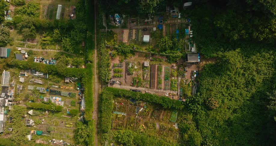 Static overhead timelapse shows the passing clouds and shadows over a thriving community allotment