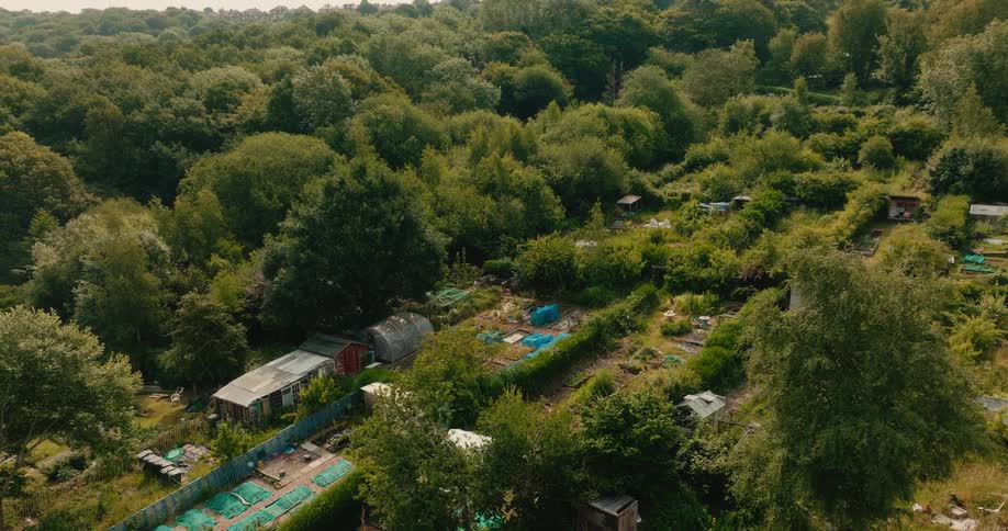 An aerial view of a sprawling community allotment garden with sheds and greenhouses nestled in a lush green forest on a sunny day