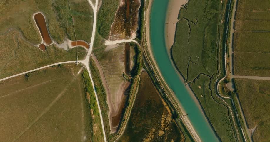 A tranquil top-down aerial view slowly ascends over a vibrant green river delta with intricate waterways and marshlands