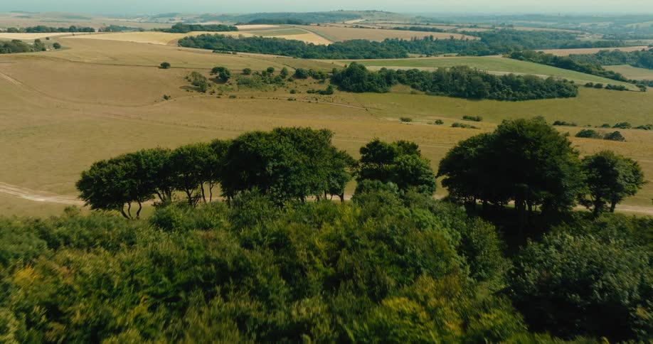 A sweeping aerial view flies over a dense forest to reveal the vast, rolling green hills of the countryside