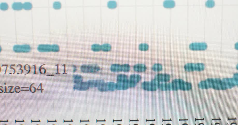 Extreme close-up of a digital piano roll on a computer monitor displaying musical notes and technical data