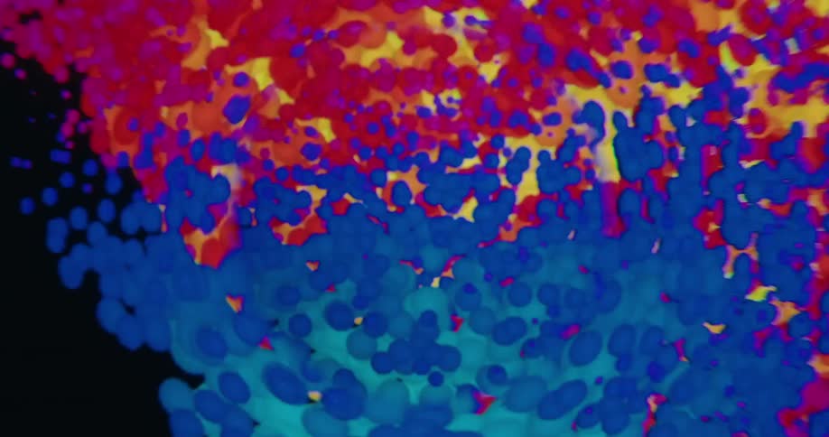 A vibrant and hypnotic abstract animation of colorful particles swirling and shifting through the spectrum