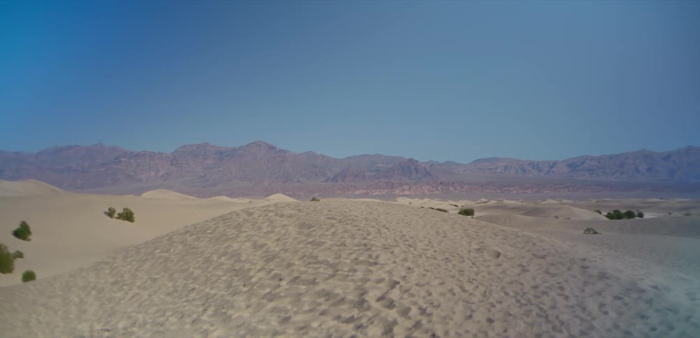 Expansive desert landscape featuring rolling sand dunes with a distant mountain range under a clear blue sky