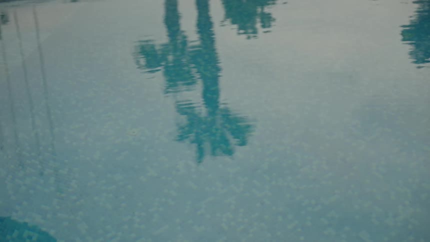 A serene view of palm tree reflections rippling on the calm surface of a tiled swimming pool