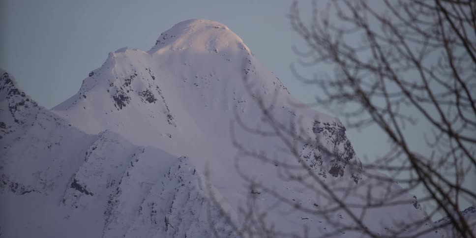 A majestic snow-capped mountain peak is illuminated by the gentle morning sun, with bare tree branches in the foreground