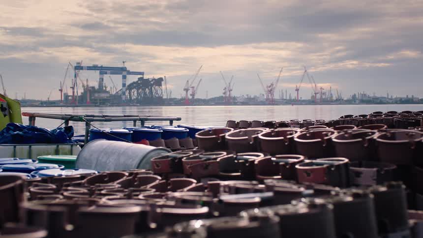 Industrial shipyard with giant cranes looms in the distance across a harbor, with floating fishing equipment in the foreground