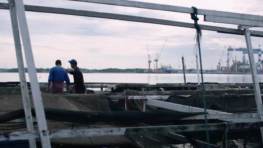 Two fishermen work on a floating fish farm, feeding fish with an industrial port in the background