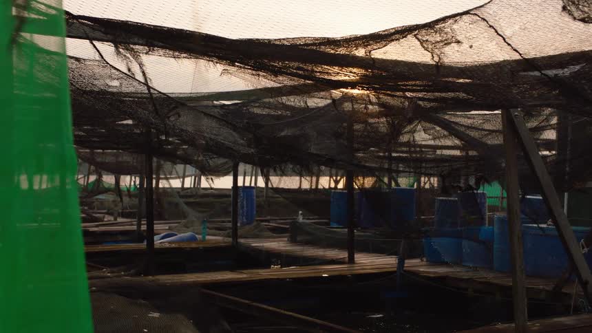 The morning sun peeks through dark nets covering a floating fish farm on the water
